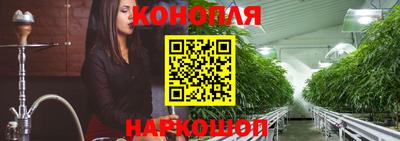 ECSTASY Камышлов