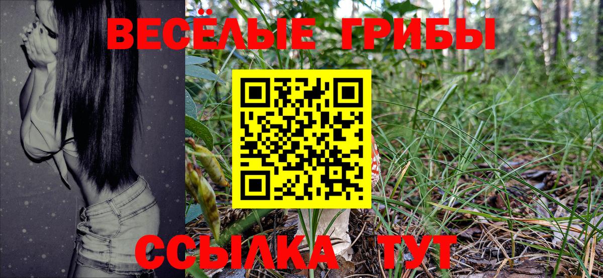 Галлюциногенные грибы Magic Shrooms  Псилоцибиновые грибы Psilocybine cubensis  Вход с VPN  Лениногорск 